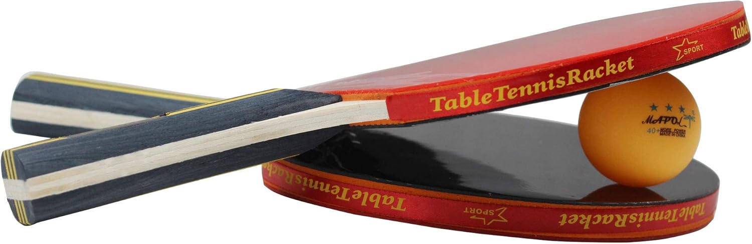 Professional Ping Pong Paddle  - Ping Pong Ball Set avis et prix